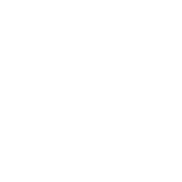 Lance logo