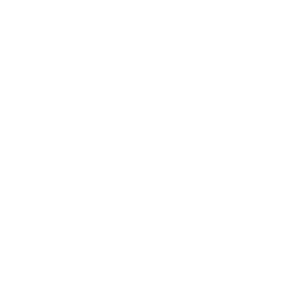 Sandra AI logo