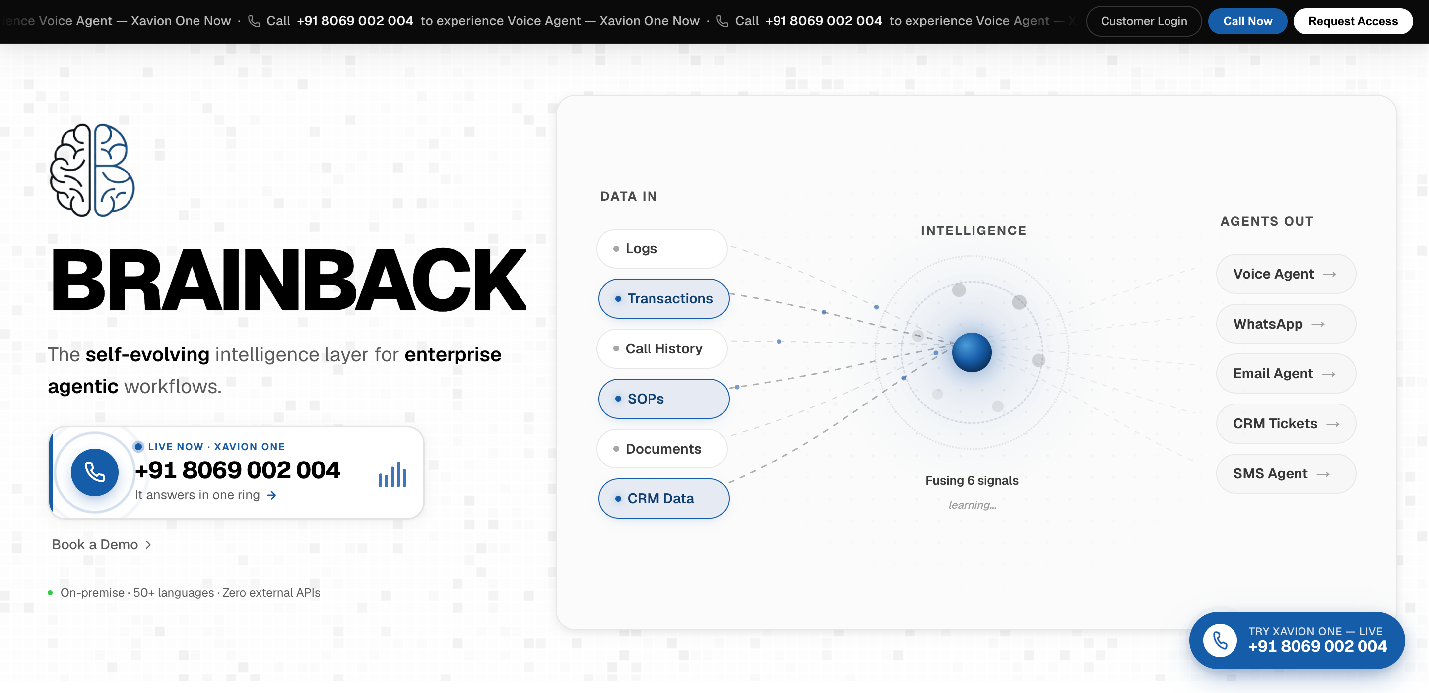 BrainBack screenshot