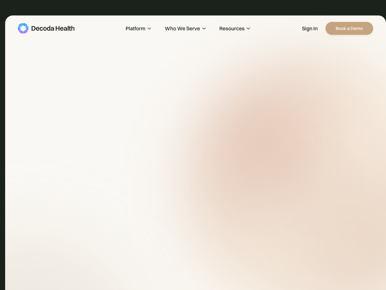 Decoda screenshot